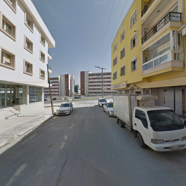 Fotoğraf 8