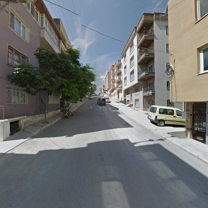 Fotoğraf 6