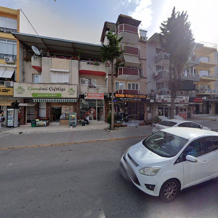 Fotoğraf 10