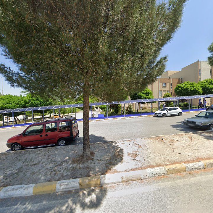 Fotoğraf 8