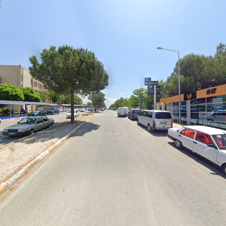 Fotoğraf 9
