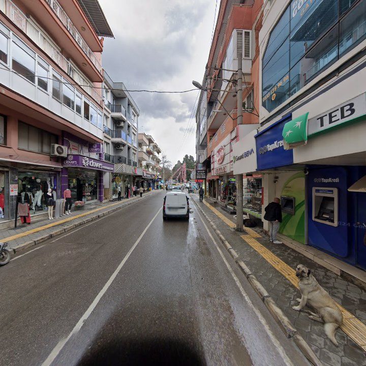 Fotoğraf 6