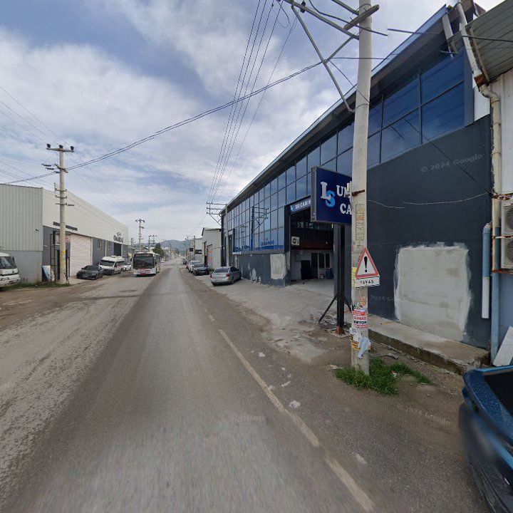 Fotoğraf 6