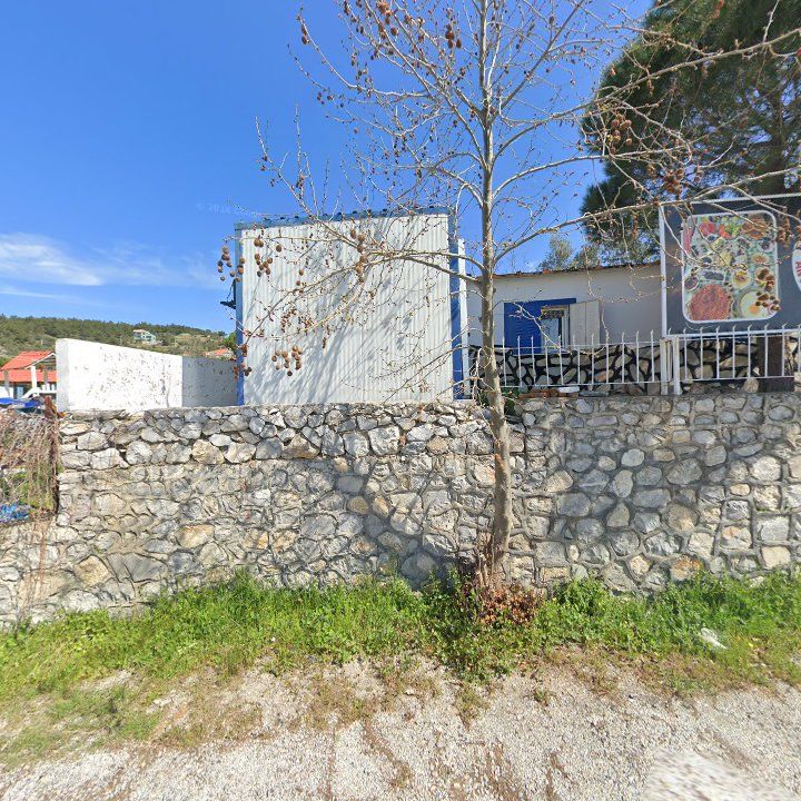Fotoğraf 11