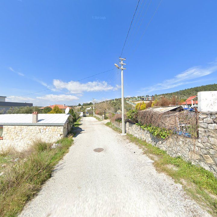 Fotoğraf 10