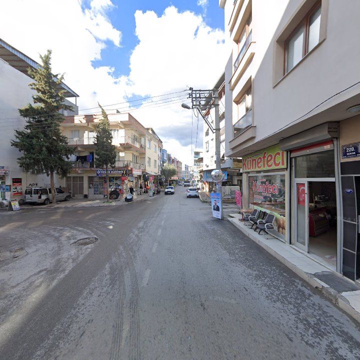 Fotoğraf 8