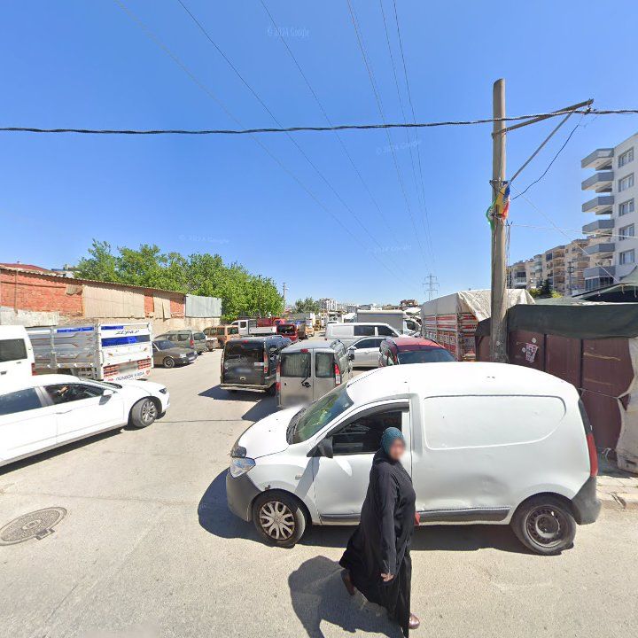 Fotoğraf 3