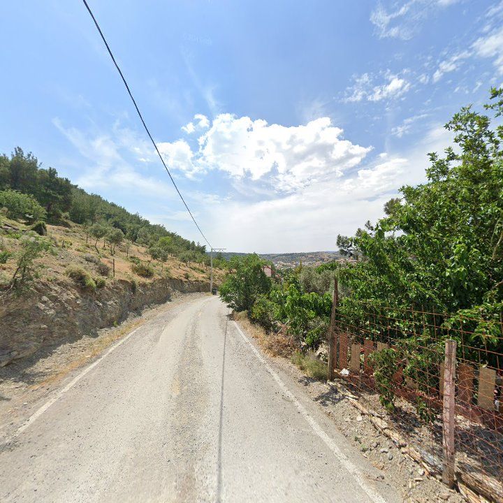 Fotoğraf 11