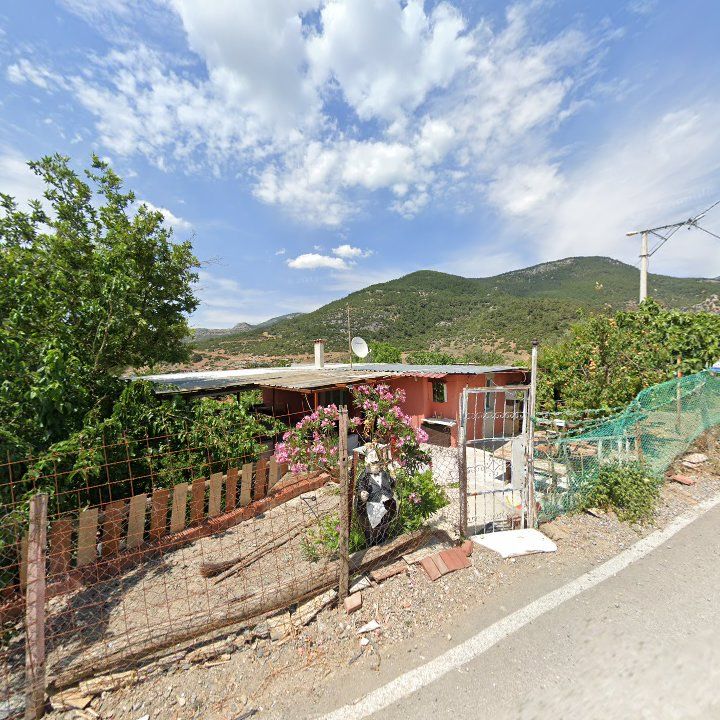 Fotoğraf 8