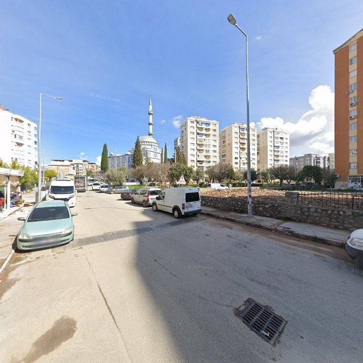 Fotoğraf 7