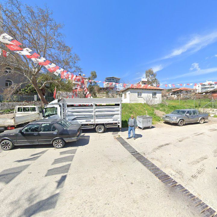 Fotoğraf 4