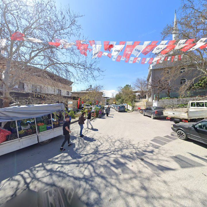 Fotoğraf 3