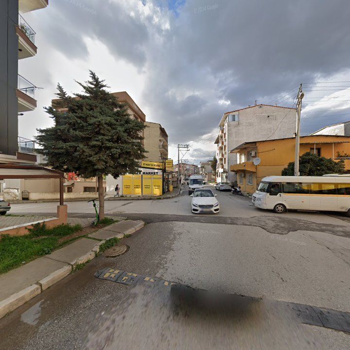 Fotoğraf 10