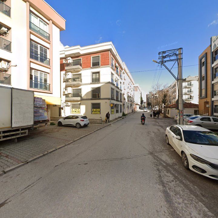 Fotoğraf 12