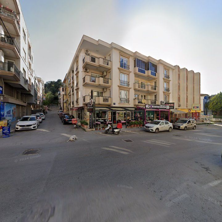 Fotoğraf 6
