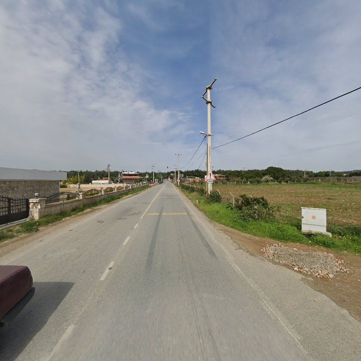 Fotoğraf 7