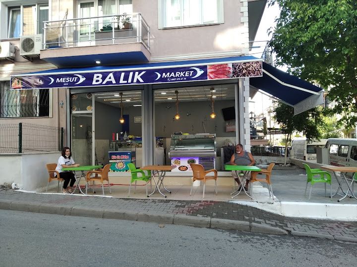 Balik pisirici mesut buca