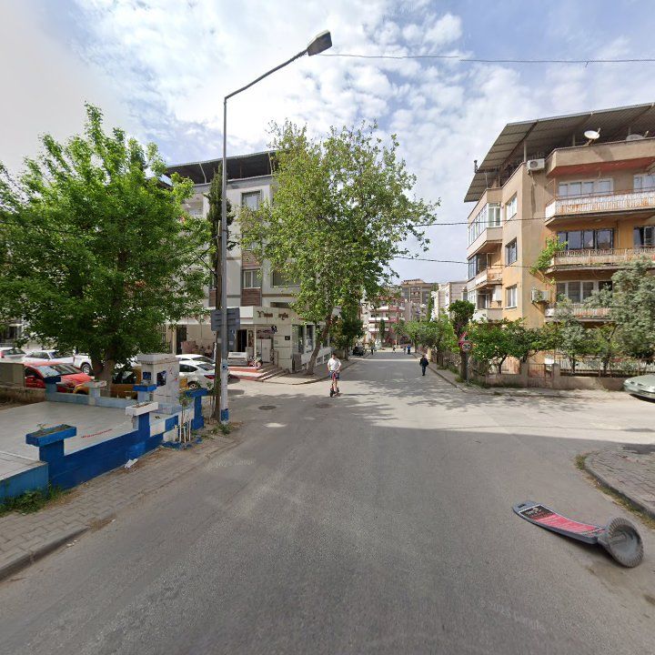 Fotoğraf 8