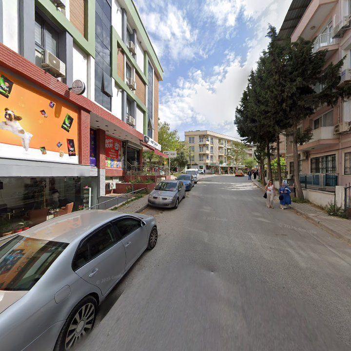 Fotoğraf 10