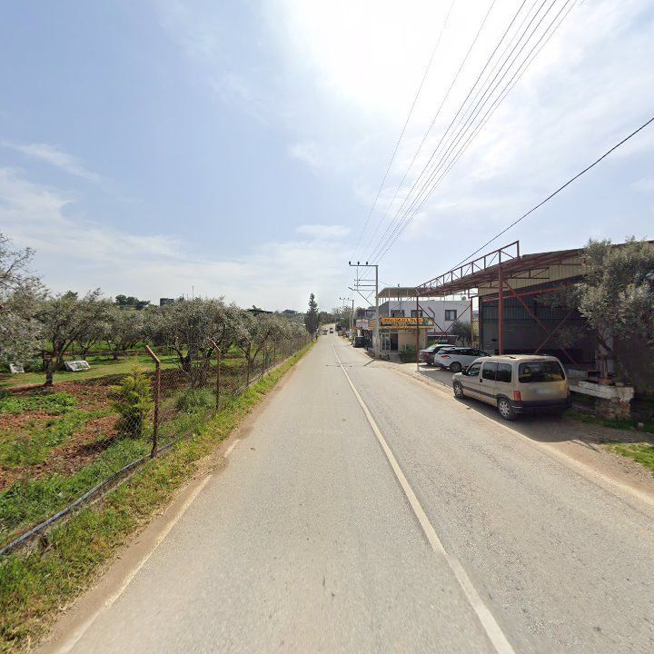 Fotoğraf 6