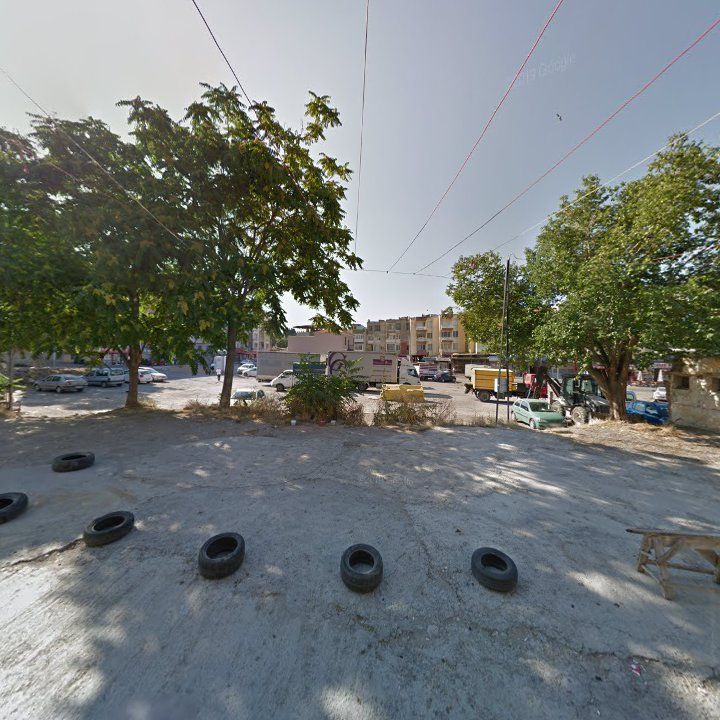 Fotoğraf 8