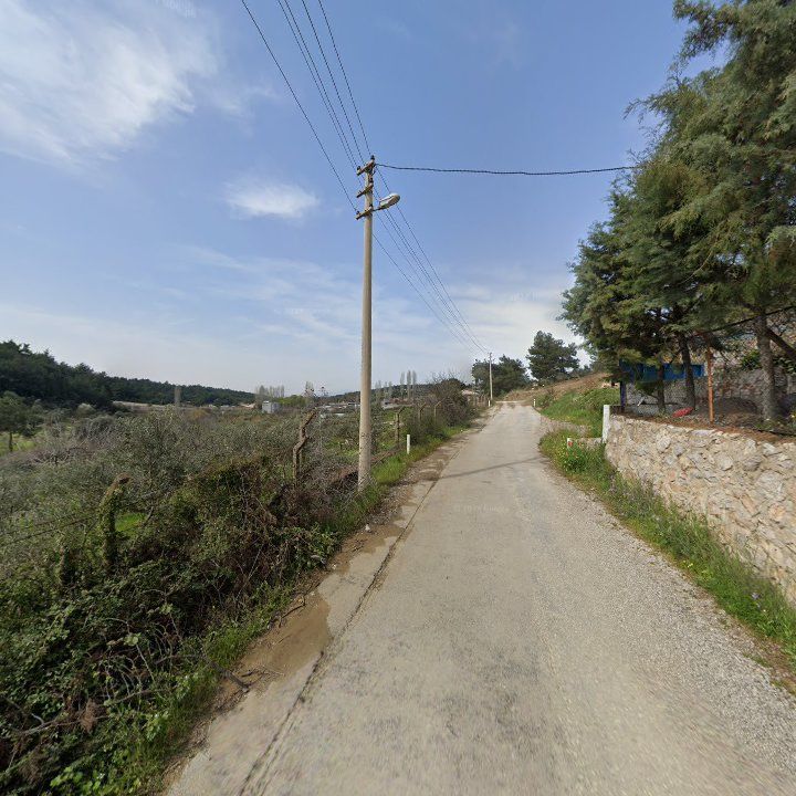Fotoğraf 6