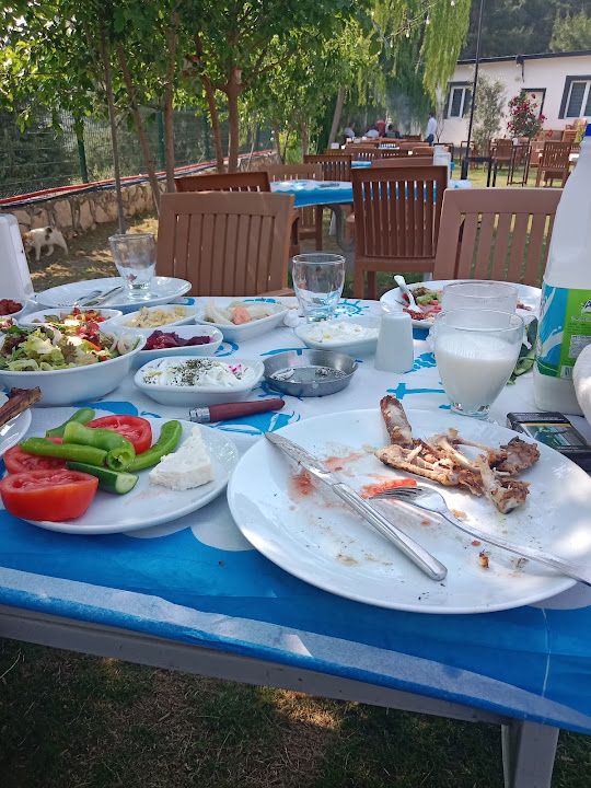 Fotoğraf 24