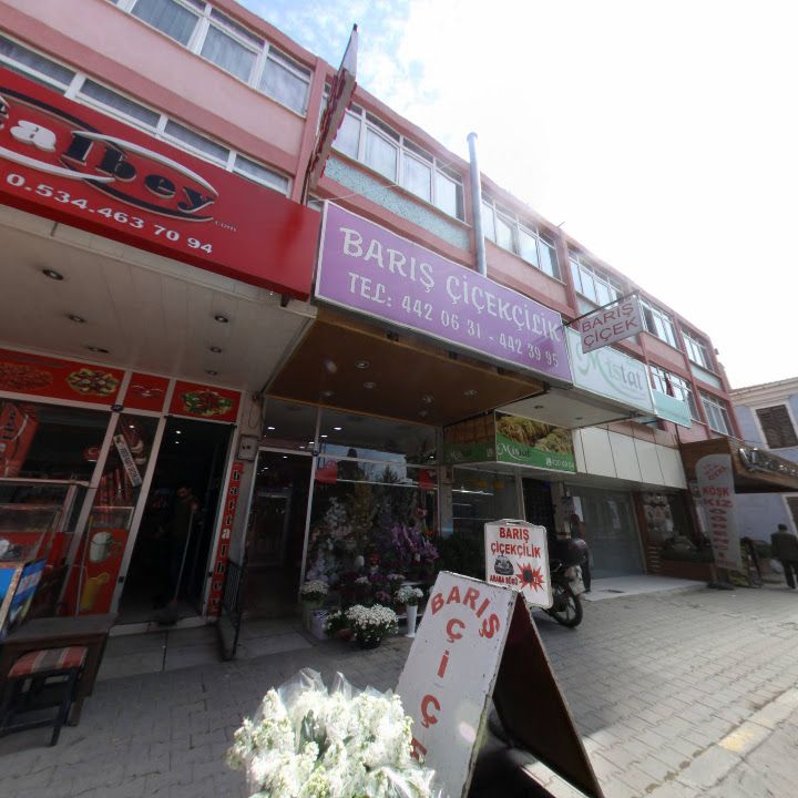 Fotoğraf 8