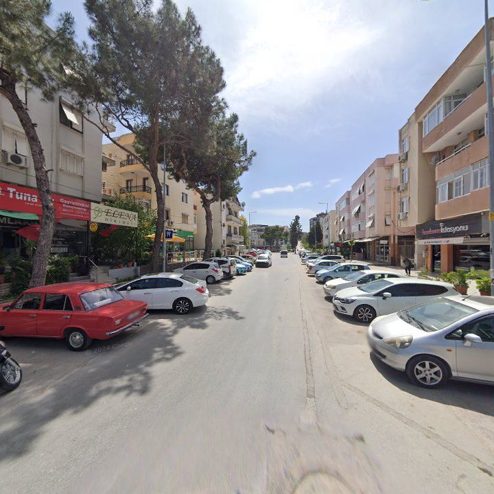 Fotoğraf 7