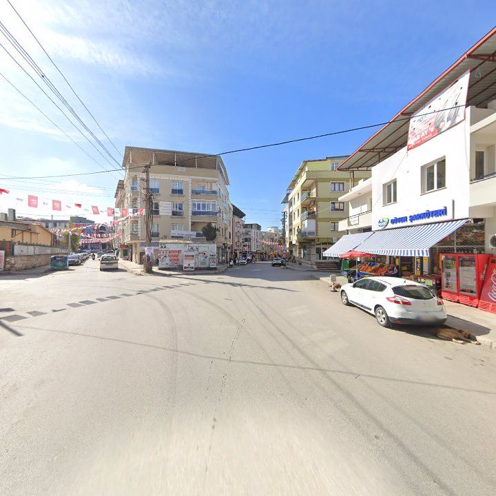 Fotoğraf 6