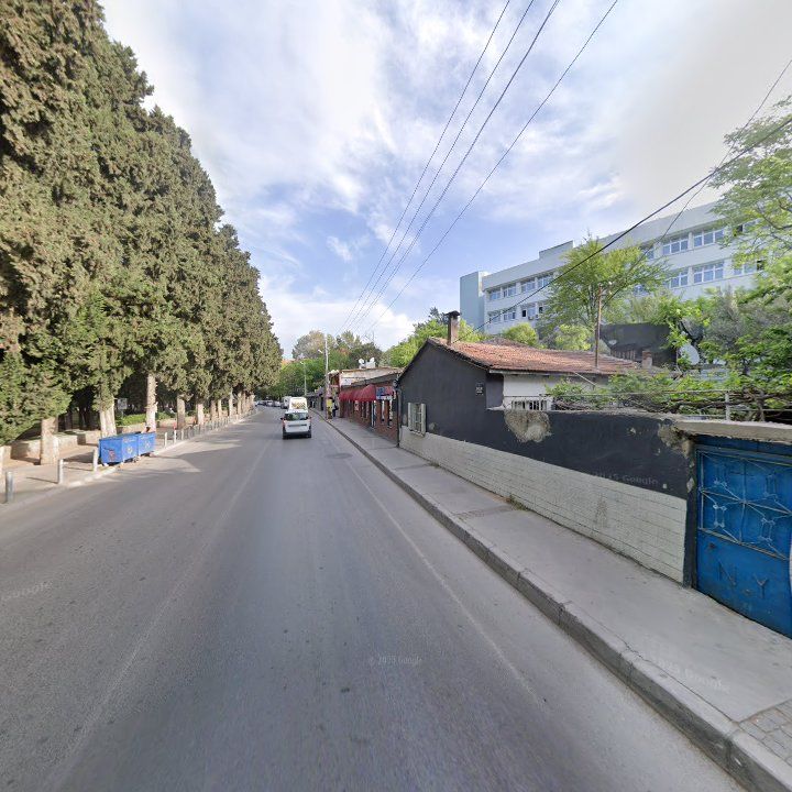 Fotoğraf 9