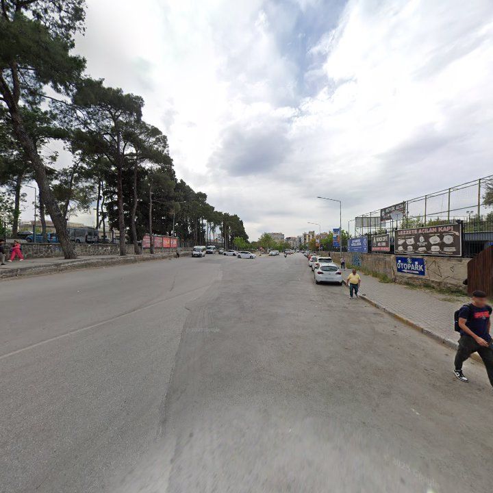 Fotoğraf 10