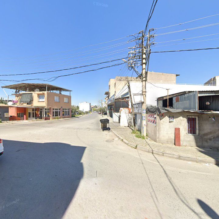 Fotoğraf 4