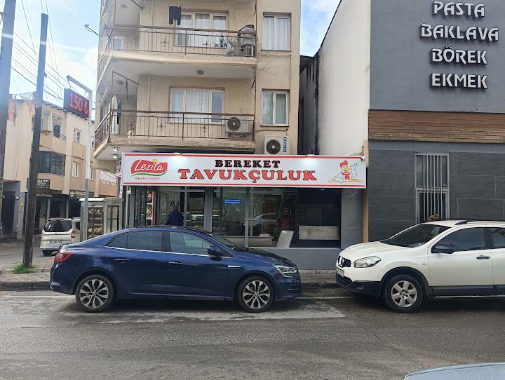 Bereket tavukçuluk