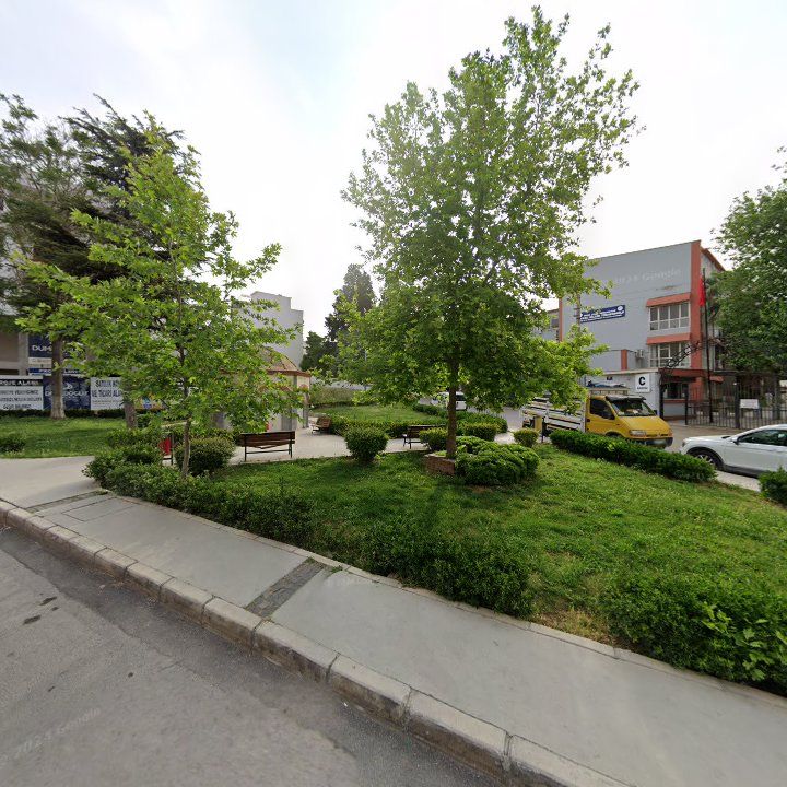 Fotoğraf 8
