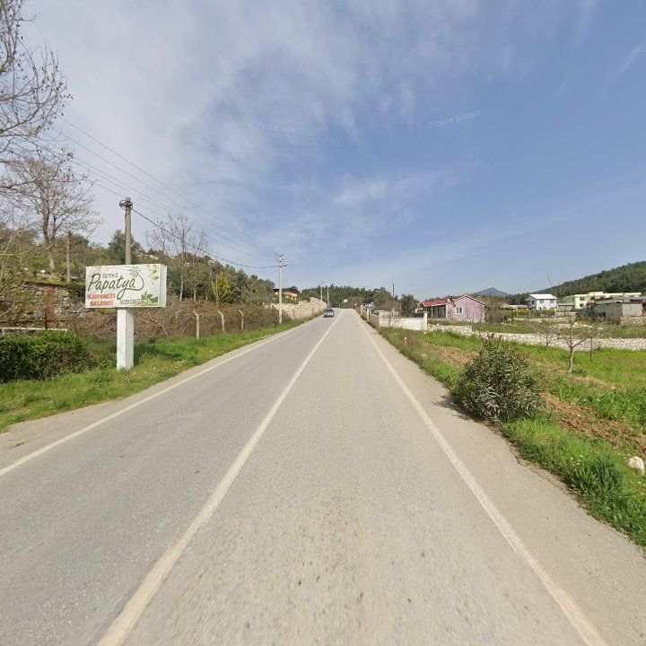 Fotoğraf 7