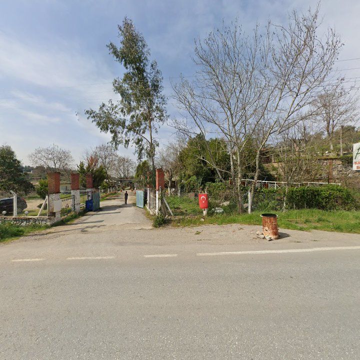 Fotoğraf 6