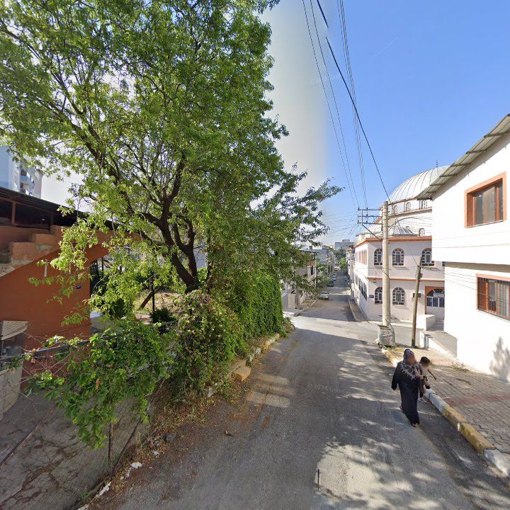 Fotoğraf 3