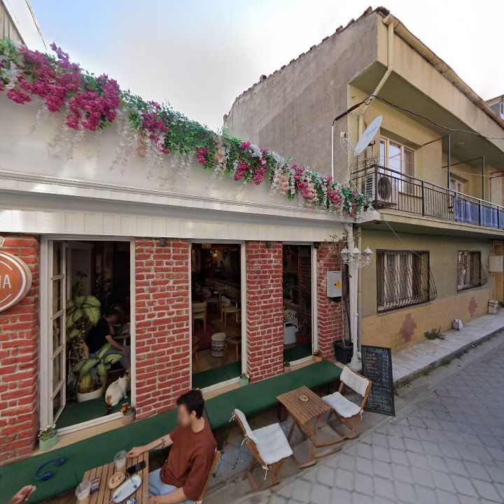 Fotoğraf 8