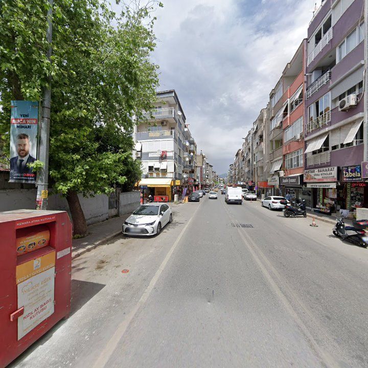 Fotoğraf 8