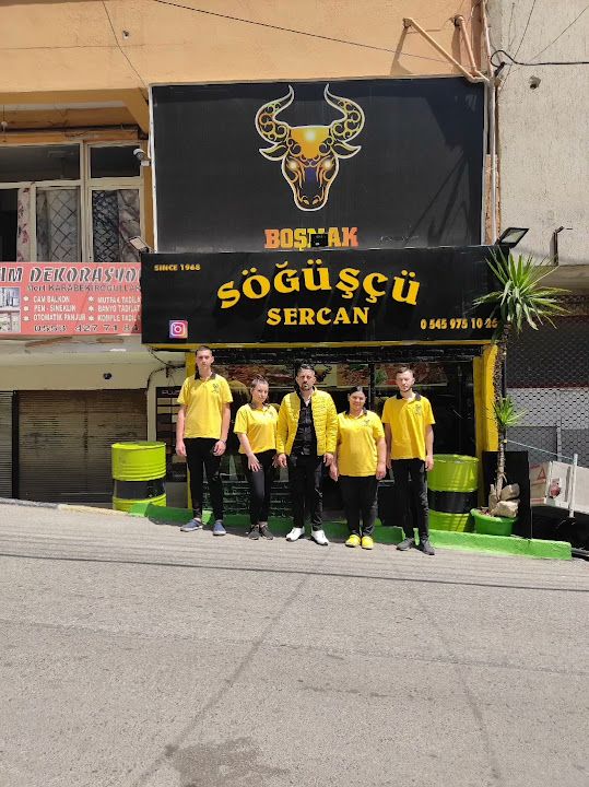 Boşnak söğüşçüsü sercan