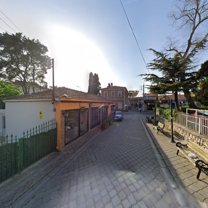 Fotoğraf 13