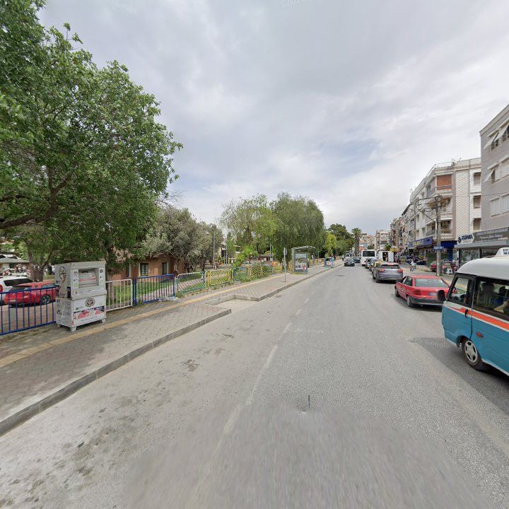 Fotoğraf 8