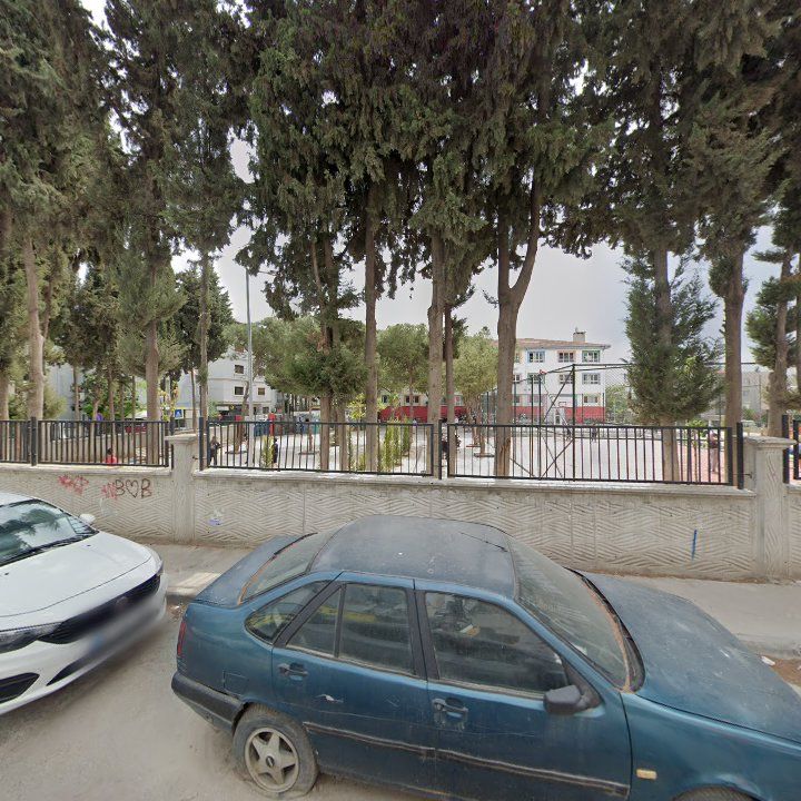 Fotoğraf 8