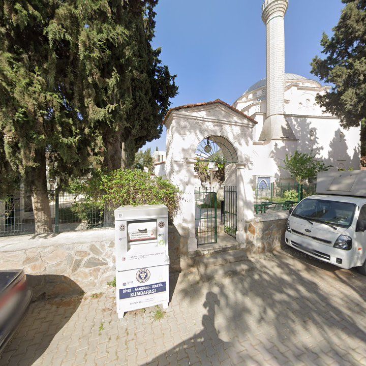 Fotoğraf 7