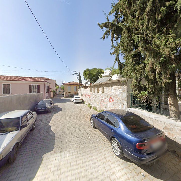 Fotoğraf 6