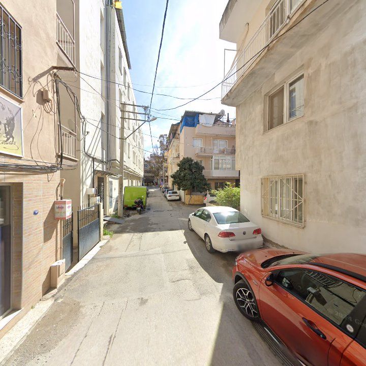 Fotoğraf 7