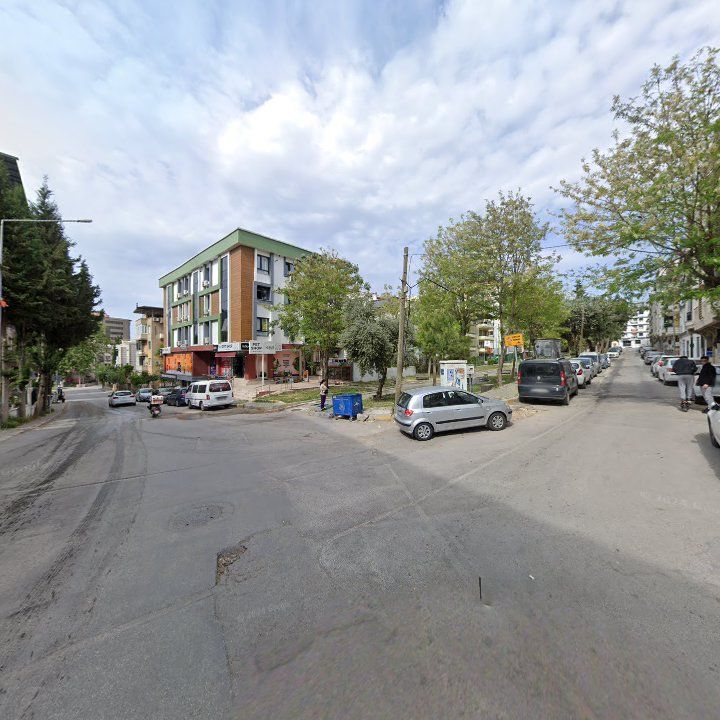 Fotoğraf 9