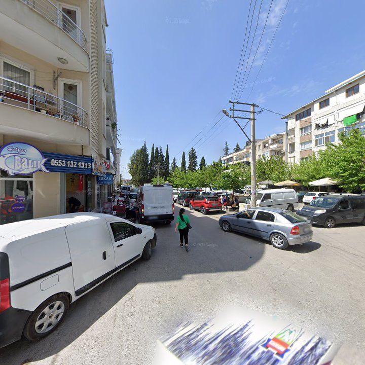 Fotoğraf 10