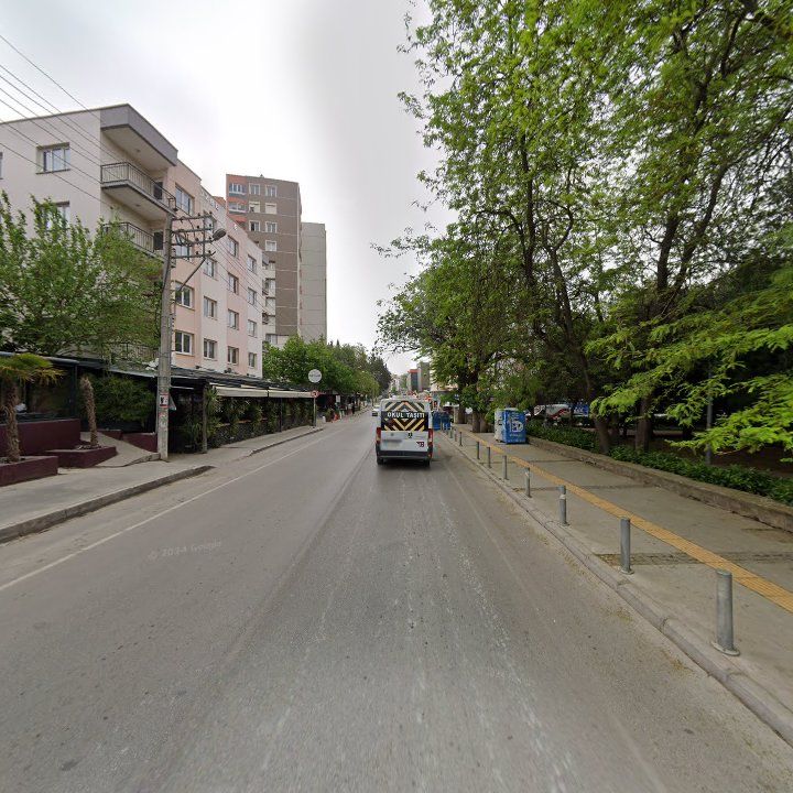 Fotoğraf 11
